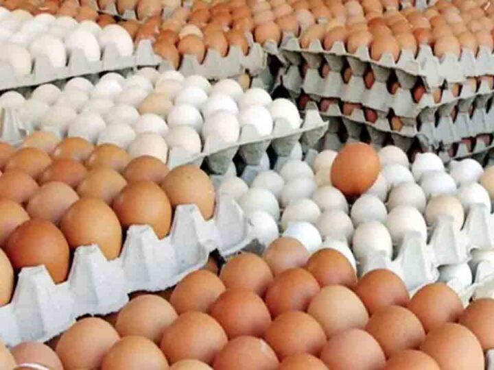 முட்டை விலையில் மாற்றம்..!