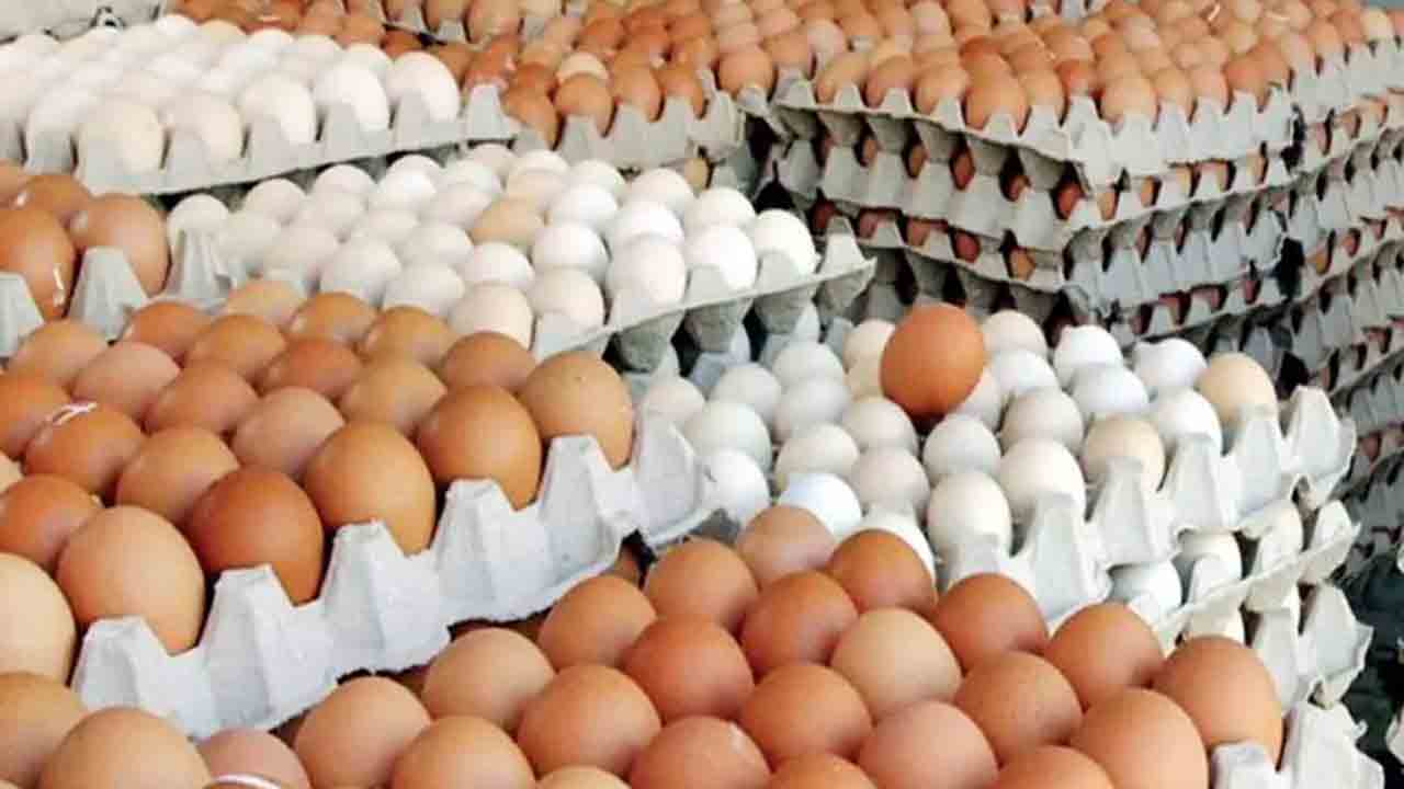 முட்டை விலையில் மாற்றம்..!