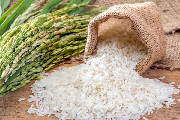 அரிசி இறக்குமதியை நிறுத்துவதற்கு அரசாங்கம் தீர்மானம்..!