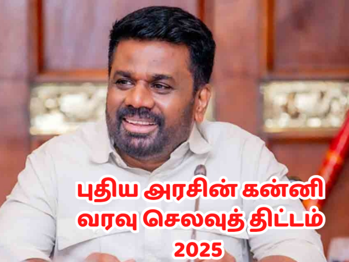 வரவு செலவு திட்டம் 2025