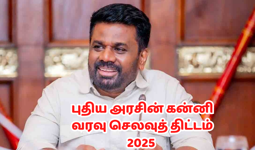 வரவு செலவு திட்டம் 2025