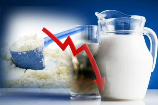 பால் உற்பத்திகளின் விலை குறைப்பு