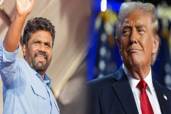 அமெரிக்க புதிய வரி முறை குறித்து  பரிந்துரைகளை சமர்ப்பிக்க விசேட குழு