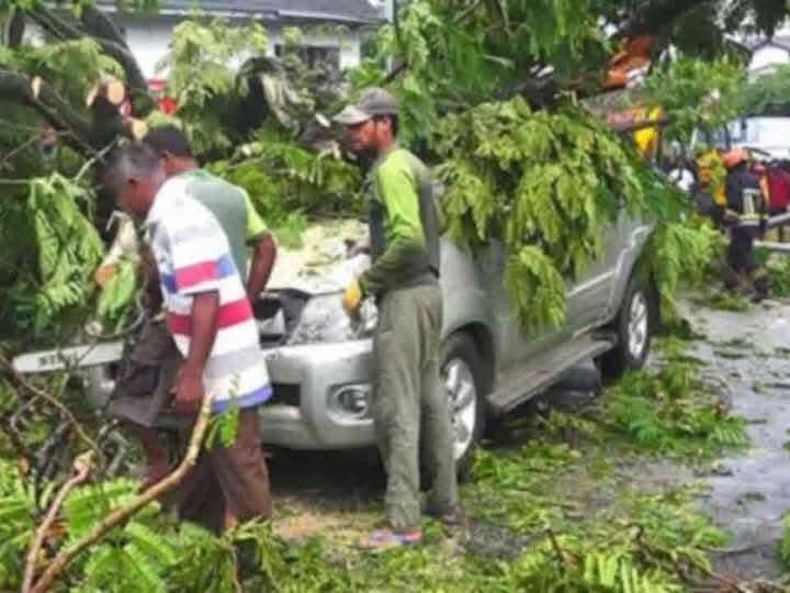 பொரளை பகுதியில் மரம் முறிந்து விழுந்ததில் வாகன நெரிசல்