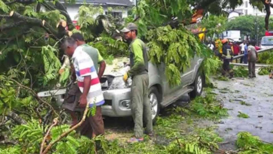 பொரளை பகுதியில் மரம் முறிந்து விழுந்ததில் வாகன நெரிசல்