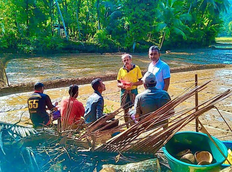 கைவிடப்பட்ட வயல்கள் பயிர்ச்செய்கைக்கு