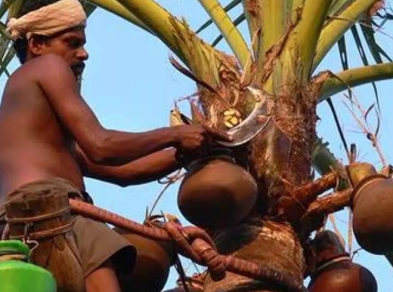 கித்துள், தென்னை மற்றும் பனைத் தொழிலில் ஈடுபட்டுள்ள விவசாயிகளுக்கான காப்பீட்டுத் திட்டம்