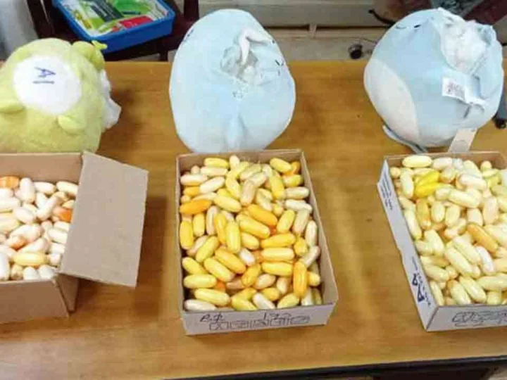 மூன்று டெடி பியர்  பொம்மைகளுக்குள் போதைப்பொருள்