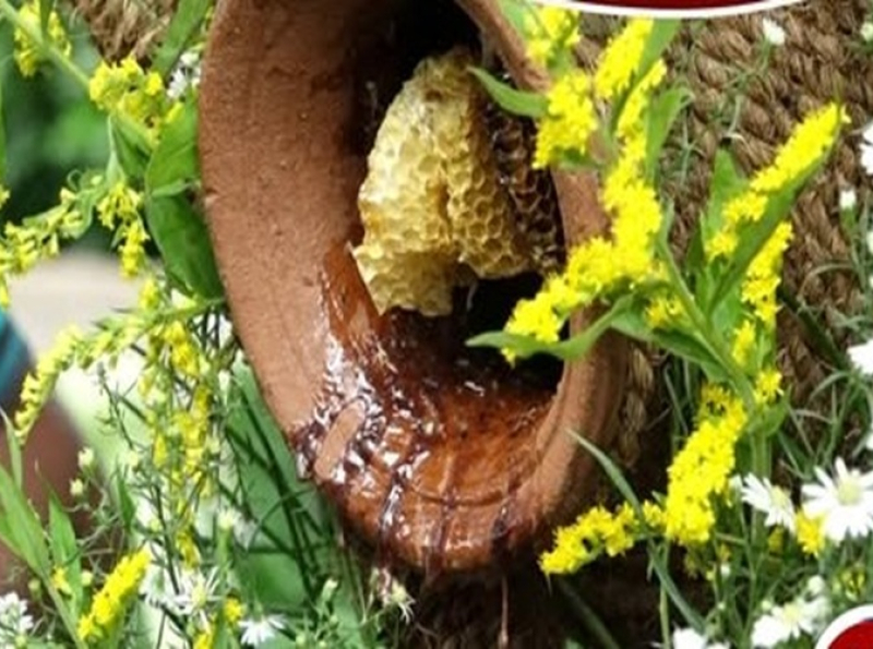 கன்னொருவையில் சர்வதேச தேனீ தின தேசிய விழா