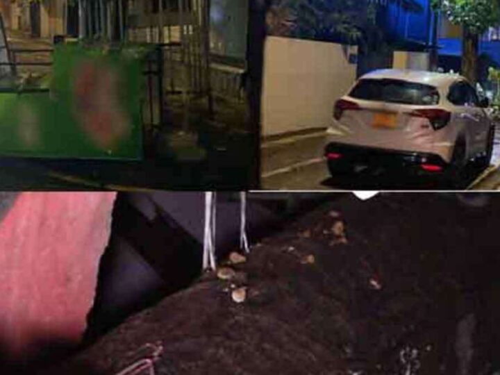 கொழும்பில் முறிந்து விழுந்த மரங்கள்