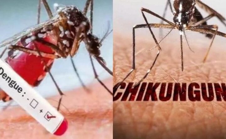 டெங்கு மற்றும் சிக்குன்குன்யாவை கட்டுப்படுத்த செயலணி