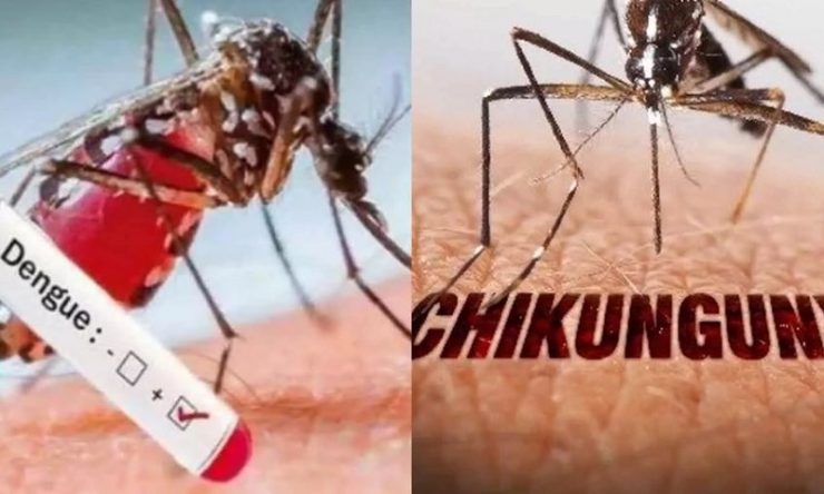 டெங்கு மற்றும் சிக்குன்குன்யாவை கட்டுப்படுத்த செயலணி