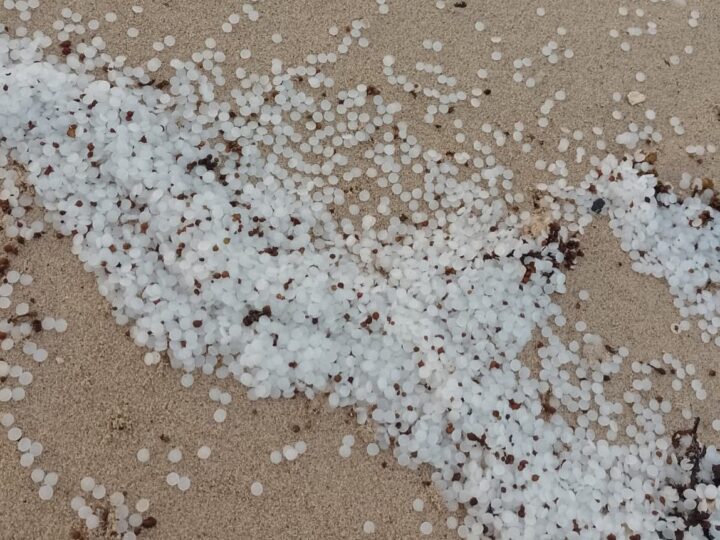 இலங்கை கடற்கரையில் கரையொதுங்கும் பொருட்கள்