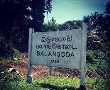 பலாங்கொடை பிரதேச சபையின் தவிசாளர் இராஜினாமா