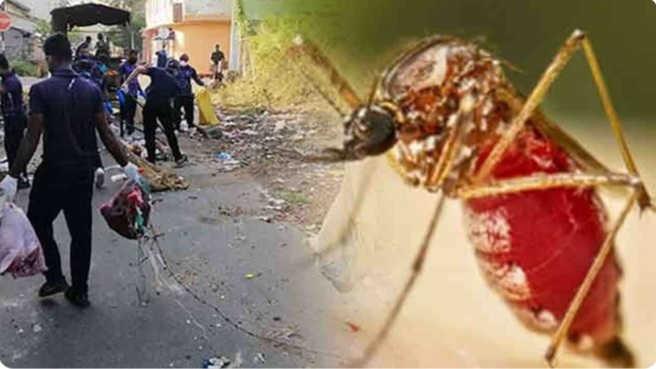 தேசிய நுளம்பு கட்டுப்பாட்டு வாரம் ஆரம்பம்