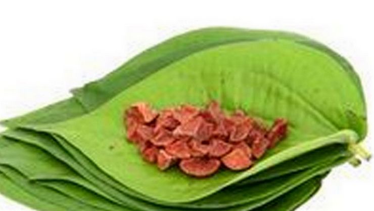 வெற்றிலை பாக்கின் விலை அதிகரிப்பு