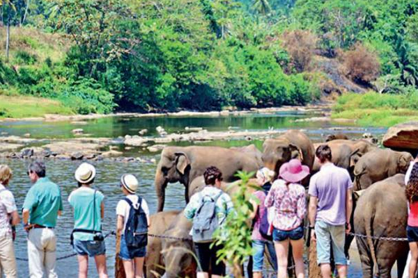 அதிக எண்ணிக்கையிலான சுற்றுலாப் பயணிகள் இலங்கைக்கு வருகை