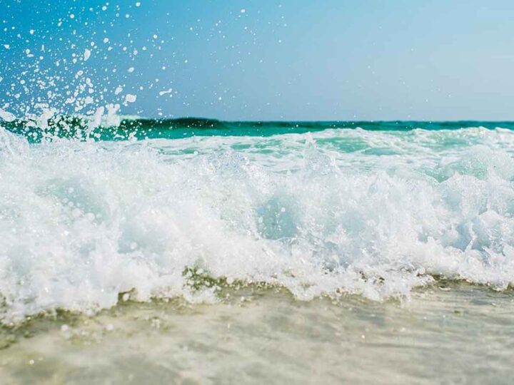 கொழும்பு துறைமுக நகரில் சடலம் மீட்பு!