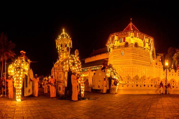 கண்டி எசல பெரஹராவிற்காக விசேட ரயில் சேவைகள்