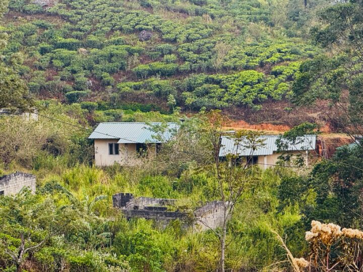 அதிரடியாக களமிறங்கிய பிரதி அமைச்சர்