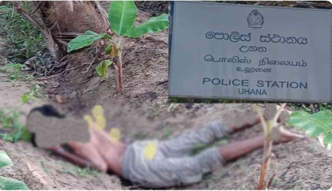 மின்சாரம் தாக்கி ஒருவர் பலி