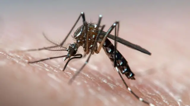 கெங்கு நுளம்பு பெருகக்கூடிய 10,591 இடங்கள் அடையாளம்