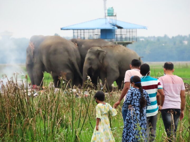 யானை – மனித மோதலை கட்டுப்படுத்த ஒழுங்கு விதிகள்