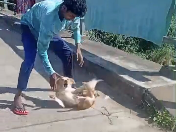 அயல்வீட்டாரோடு ஏற்பட்ட பிரச்சனையால் வளர்ப்பு நாயை தாக்கிய இளைஞன்.