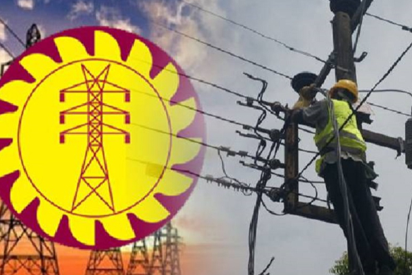 மின்சார சபை ஊழியர்களுக்காக தன்னார்வ ஓய்வூதியத் திட்டம்!