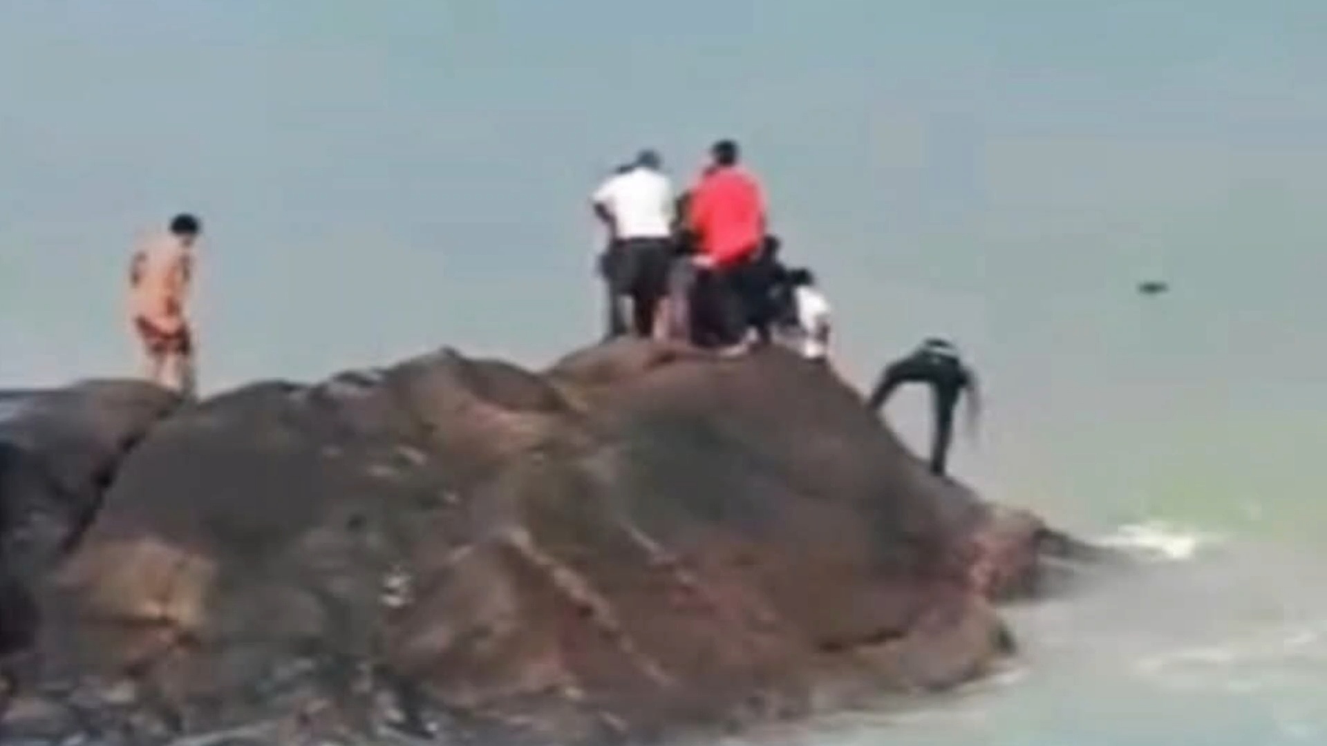 கடலில் அடித்துச் செல்லப்பட்ட இளம் ஜோடி மீட்பு