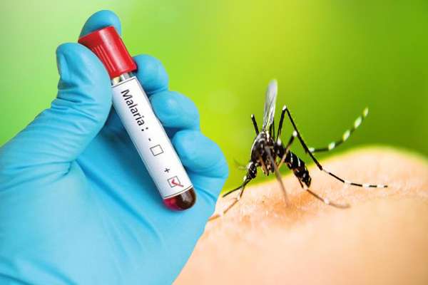 இலங்கையில் மீண்டும் அதிகரிக்கும் மலேரியா!