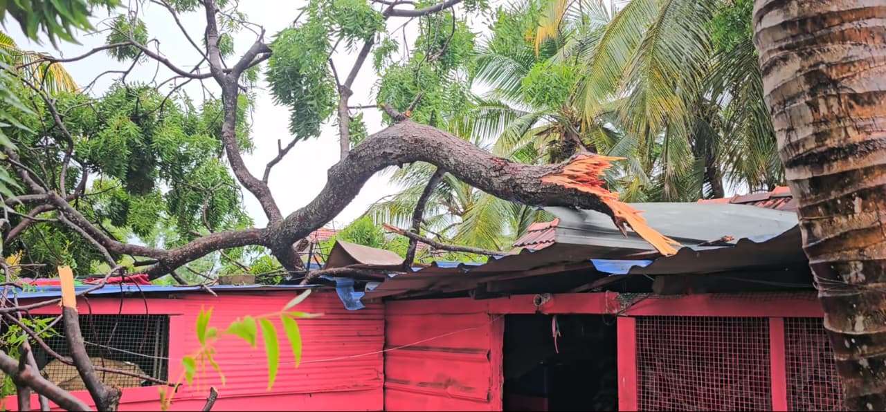 ஆரையம்பதியில் மினி சூறாவளியால் மின்சாரம் தடை