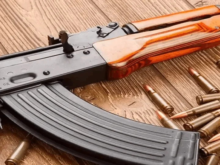 இந்த ஆண்டில் 2000துப்பாக்கிகள் மீட்பு