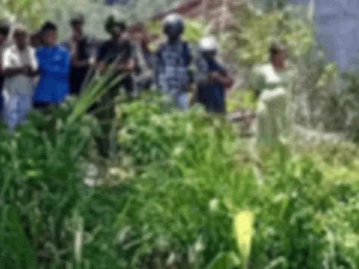 பொல்பிதிகம வயல்வெளியிலிருந்து சடலமொன்று மீட்பு