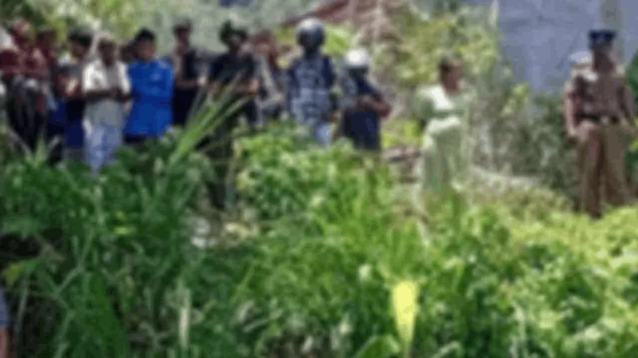 பொல்பிதிகம வயல்வெளியிலிருந்து சடலமொன்று மீட்பு