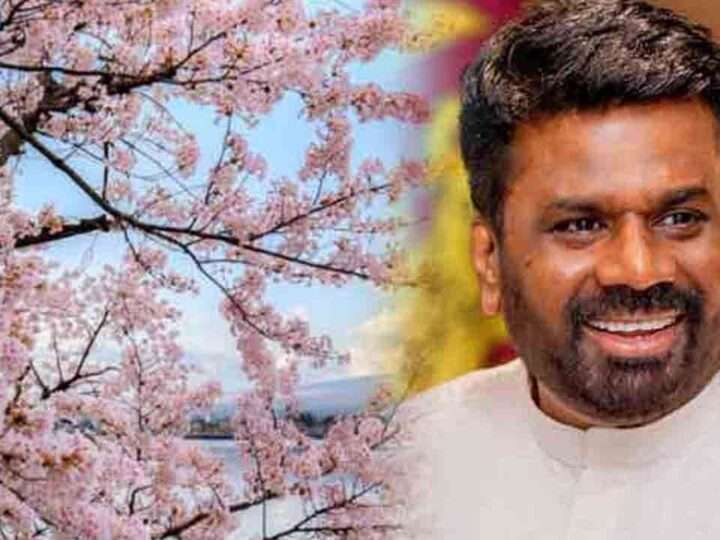 சிறுவர்கள் முதியோர்கள் நலனுக்கு அரசு அர்ப்பணிக்கும்