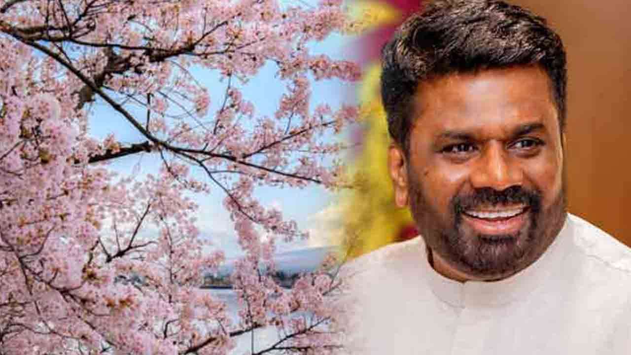 சிறுவர்கள் முதியோர்கள் நலனுக்கு அரசு அர்ப்பணிக்கும்