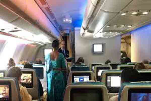 விமானத்தில் பணிப்பெண்ணைத் தாக்கிய பயணி கைது