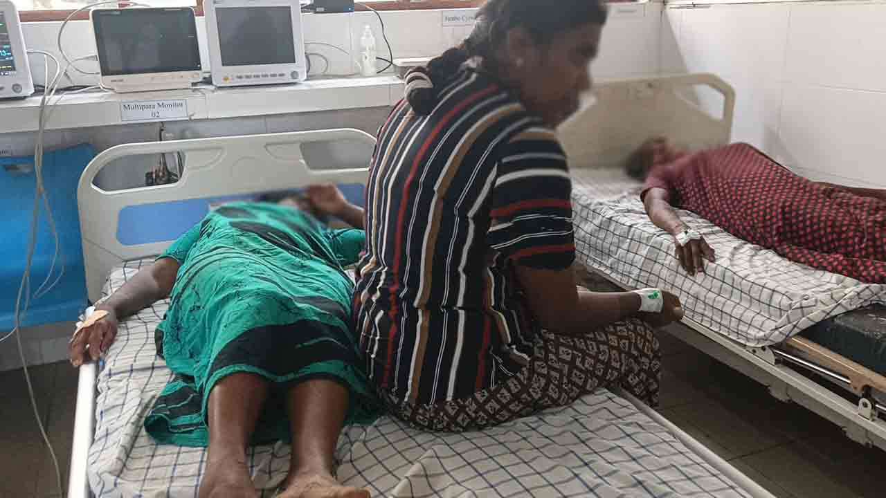 குளவி கொட்டுக்கு இலக்கான தோட்டத்  தொழிலாளர்கள்