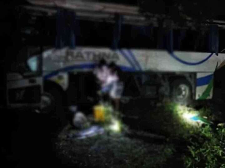 மன்னார் – மதவாச்சி வீதியில் சொகுசு பஸ் விபத்து