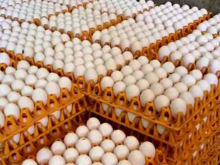 முட்டை விலை 10 ரூபாயால் குறையும்