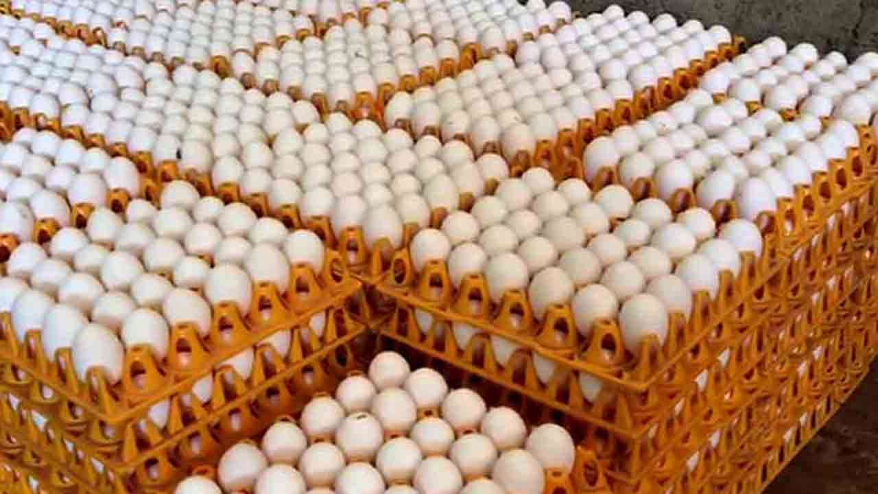 முட்டை விலை 10 ரூபாயால் குறையும்