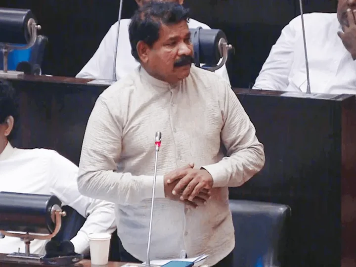 டிசம்பரில் இலங்கையர் தின நிகழ்ச்சி- அமைச்சர் இராமலிங்கம் சந்திரசேகர்