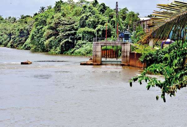 ஓட்டோவைக் கழுவ ஆற்றில் நீர் அள்ளிய இளம் பெண் தவறிவீழ்ந்து உயிரிழப்பு