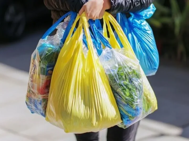 பொலித்தீனுக்கு வரி விதிக்க தீர்மானம்: ஷொப்பிங் கட்டணம் தற்காலிகம்!