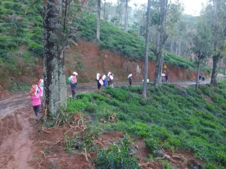 மண்சரிவில் பாதிக்கப்பட்ட மக்களுக்கு மாற்றுக் காணி