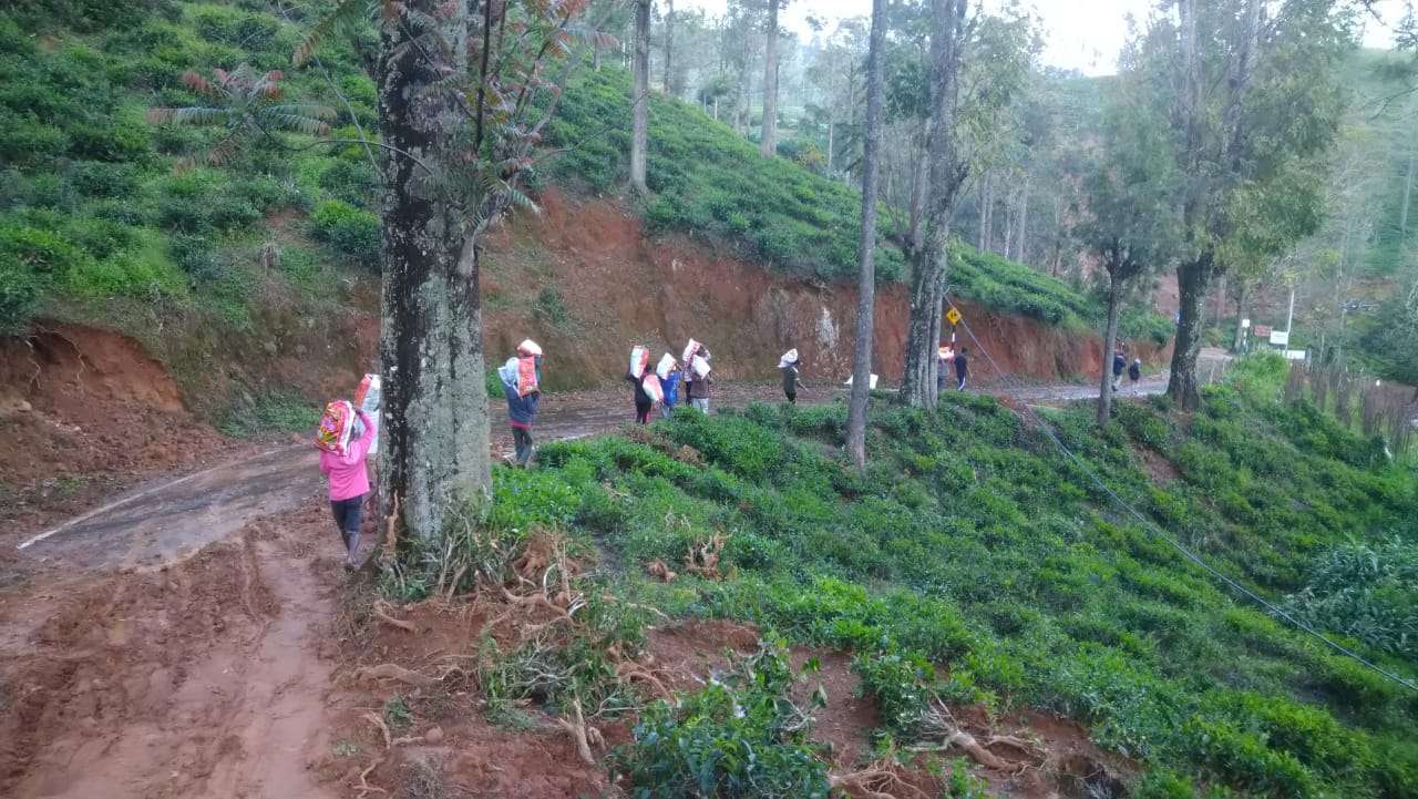 மண்சரிவில் பாதிக்கப்பட்ட மக்களுக்கு மாற்றுக் காணி