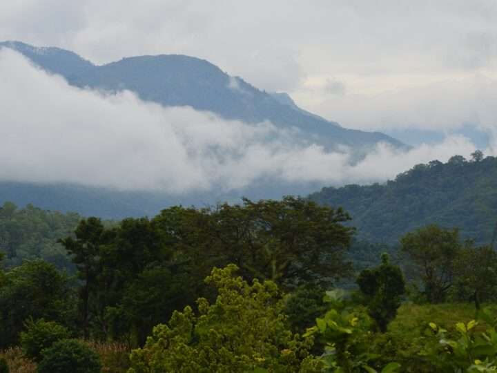 பதுளையில் மேலும் 238 குடும்பங்கள் வௌியேற்றம்!