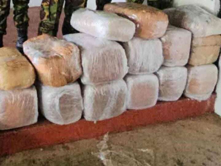 முல்லைத்தீவில் 3 கோடி ரூபாய் பெறுமதியான கஞ்சா மீட்பு