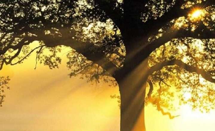 நாளை முதல் மழை குறையும் சாத்தியம்